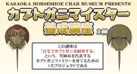 タイトル