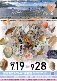 特別展示「Let’s Beach Combing」展 チラシ表