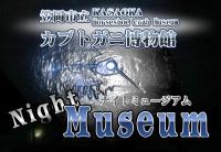 ナイトミュージアム