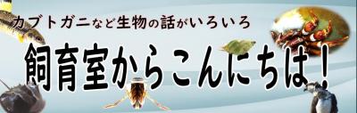 飼育室からこんにちは!